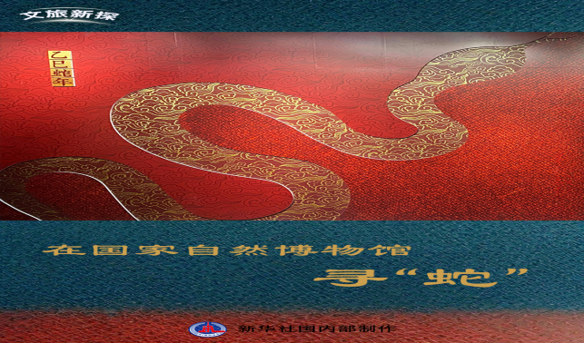 文旅新探｜在国家自然博物馆寻“蛇”：感知生生不息的科学演化和文化传承