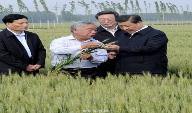 学习进行时丨是贡献，也是奉献——习近平总书记和河南的故事
