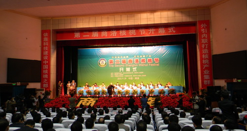 第二届商洛核桃节开幕