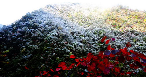 金丝峡的第一场雪