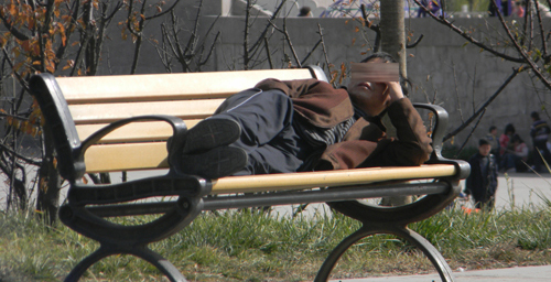 丹江公园长椅成床睡  散步居民拿着板凳找地坐