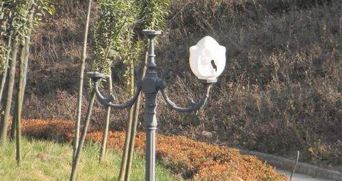 城区公共设施破坏严重市民应起维护责任