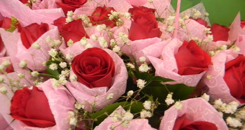 “情人节”将至 玫瑰花生意火爆