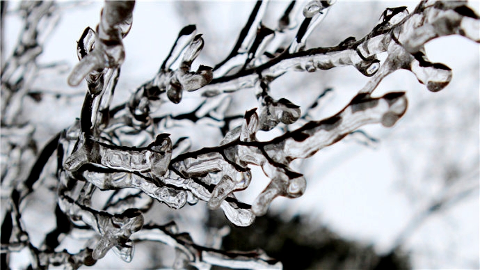 镇安塔云山显雾凇奇观