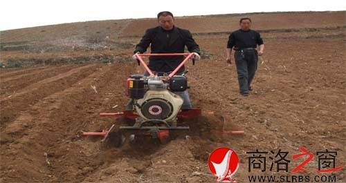 商州烤烟起垄实现机械化