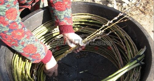 洛南寨子柳编——独具特色三省闻名