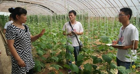 商洛学院志愿者赴丹、商开展社会实践活动