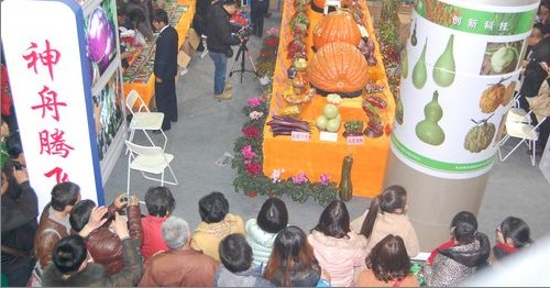 商洛市农科深入农高会现场考察参访