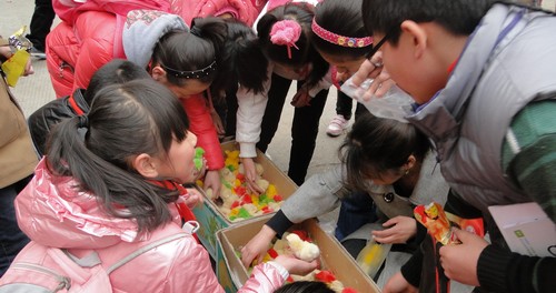 商州：彩色小鸡卫生安全隐患多