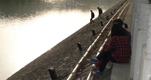 天气转暖丹江河边纳凉要注意安全