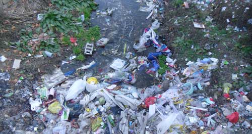 黑龙口镇街道垃圾成堆堵住了河道 河水遭到严重污染