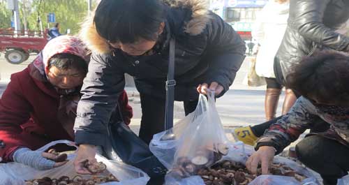 市区黄沙桥北一鲜香菇摊点生意红火