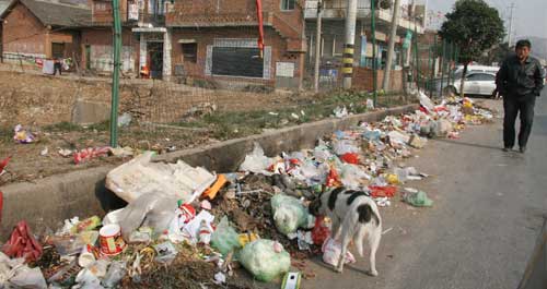 夜村镇街道与312国道边垃圾成堆亟待治理