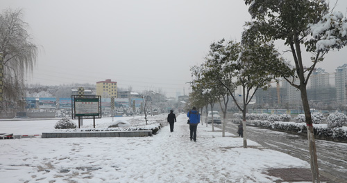 我市再次普降大雪