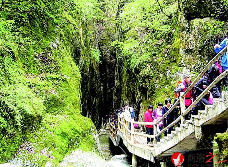 绿色生态游成为商洛主导产业,也使我市成为全国旅游百强城市。