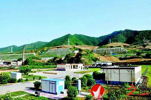 花园式单位——市天然气公司一角。