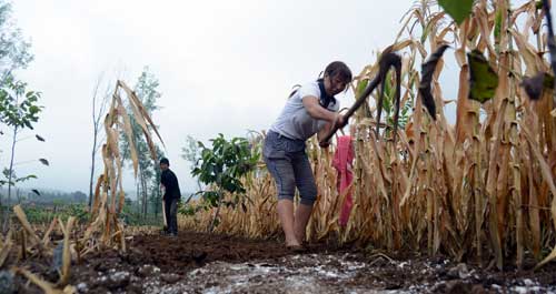 抢抓墒情以秋补秋