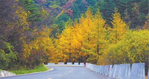 商洛秋天美如画