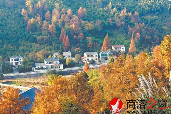 秦岭深处小山村