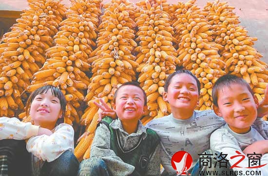 山乡丰收图也是一景