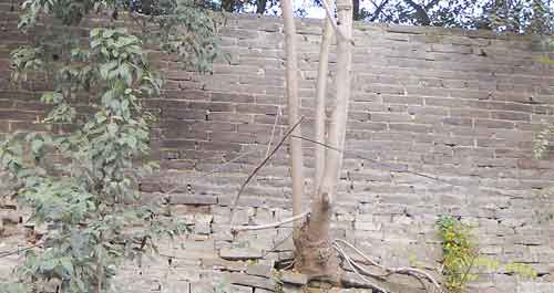 不能忘却的商州古城墙