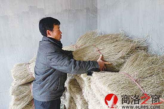 陈社仓将粉条捆扎摆好