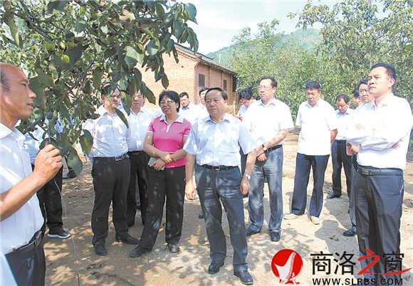 市上领导在商州区沙河子镇核桃大户李奇的核桃园调研。大家对核桃产业前所未有的关注以及全市核桃产业大会的召开,吹响了全市核桃产业进一步大发展的集结号。