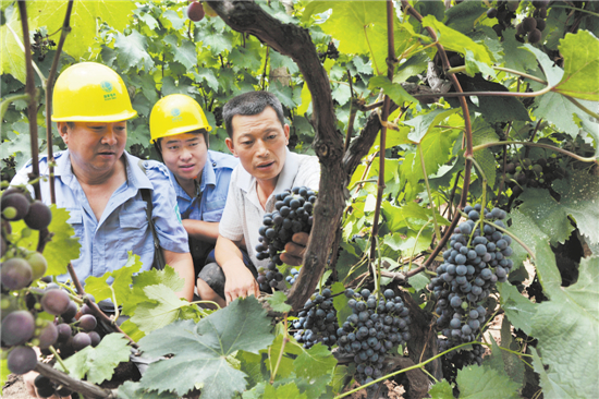 QQ图片20151025165438.jpg