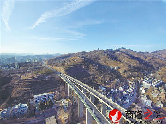 金凤展翅金凤展翅