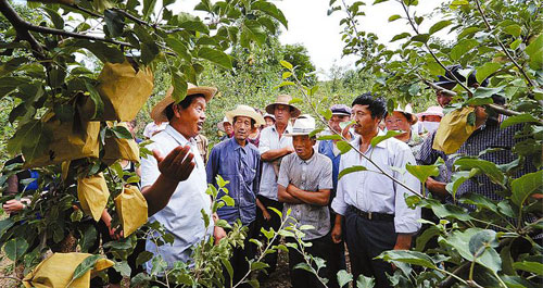我市农技人员纷纷来到贫困村开办“田间课堂”传授科学种植和病害防治知识