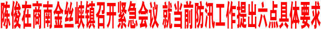 陈俊在商南金丝峡镇召开紧急会议 就当前防汛工作提出六点具体要求