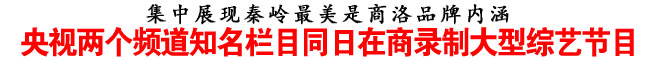 央视两个频道知名栏目同日在商录制大型综艺节目