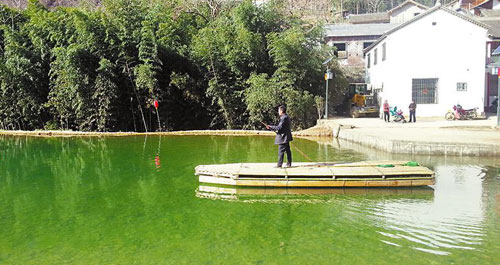 太子坪形成了“陕南水韵、养生慢谷”式生态文明旅游新村