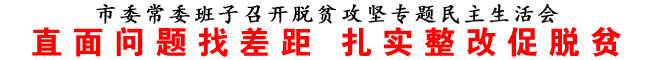 直面问题找差距 扎实整改促脱贫