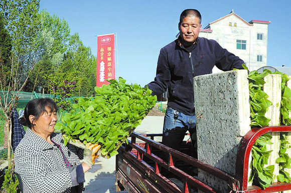 幻灯片头条 大.jpg