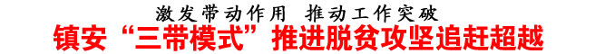镇安“三带模式”推进脱贫攻坚追赶超越