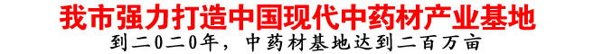 我市强力打造中国现代中药材产业基地