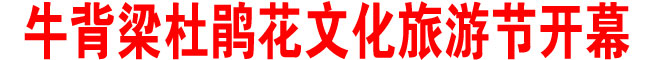 牛背梁杜鹃花文化旅游节开幕