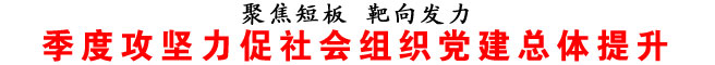 季度攻坚力促社会组织党建总体提升
