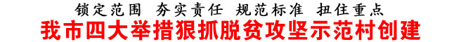 我市四大举措狠抓脱贫攻坚示范村创建