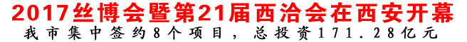 2017丝博会暨第21届西洽会在西安开幕
