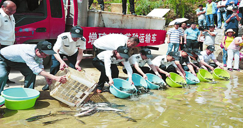 “放鱼日”二龙山水库放鱼28万尾