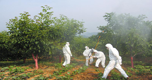 商洛市召开核桃病虫害防控技术培训会