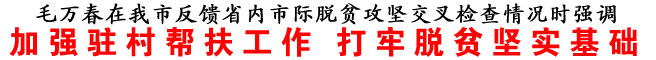 加强驻村帮扶工作 打牢脱贫坚实基础