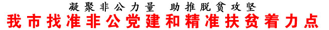 商洛市找准非公党建和精准扶贫着力点