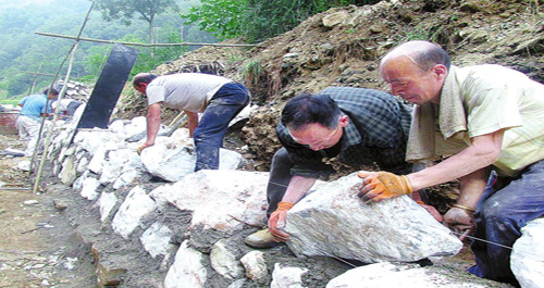 丹凤两村进行险工险段加固维修