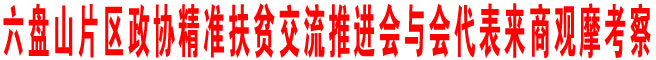 六盘山片区政协精准扶贫交流推进会与会代表来商观摩考察