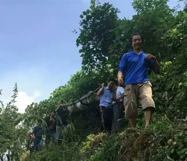 达仁镇人口_达仁镇(2)