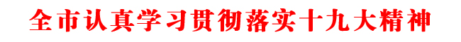 全市认真学习贯彻落实十九大精神