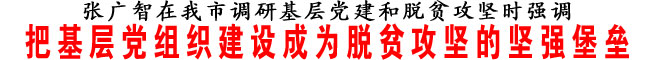 把基层党组织建设成为脱贫攻坚的坚强堡垒
